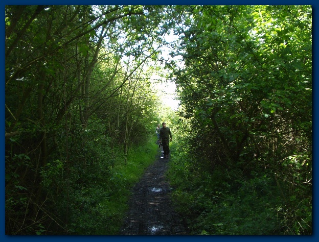 600x449 pixels (179K)